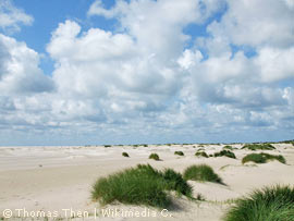 Kniepsand auf Amrum